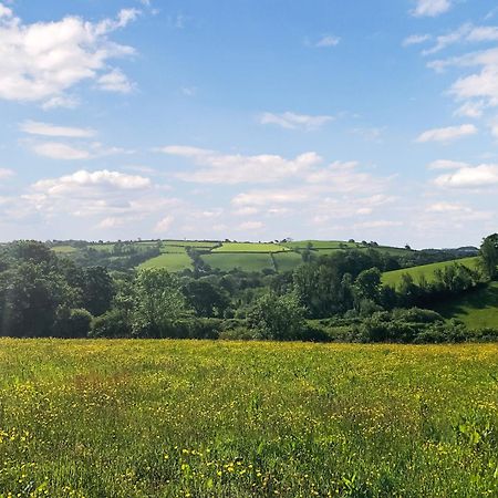 Ynywsen Dairy Flat Villa Llanfynydd Buitenkant foto