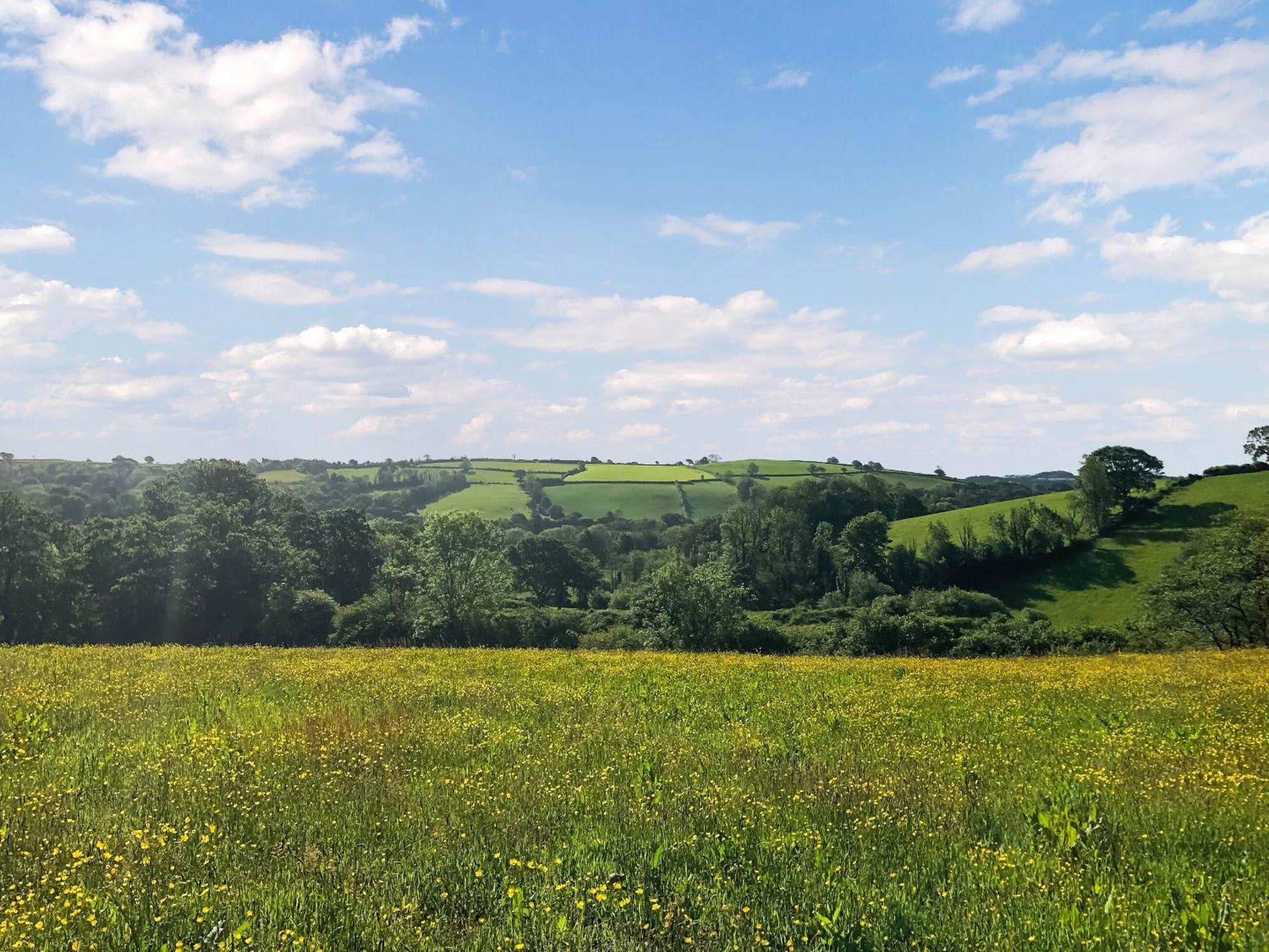 Ynywsen Dairy Flat Villa Llanfynydd Buitenkant foto